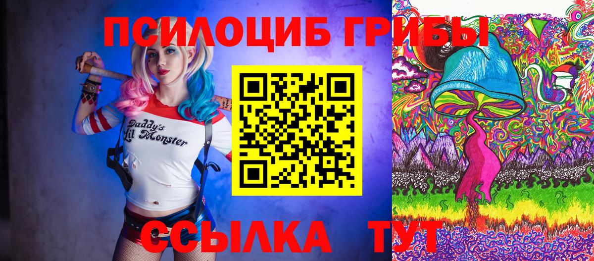 Галлюциногенные грибы Cubensis  Вход с VPN  Кизляр  Галлюциногенные грибы прущие грибы 